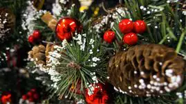 Pynt og diverse til jul